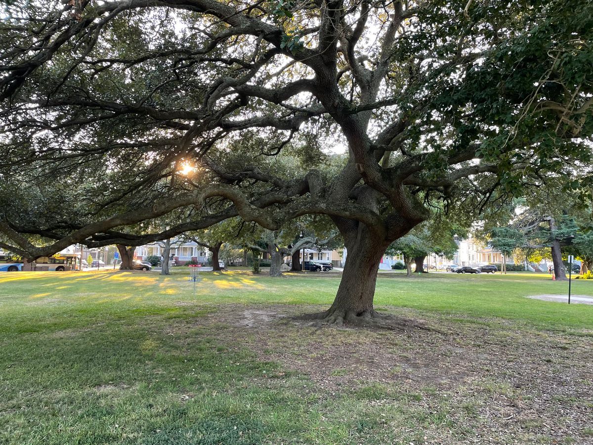 Beautiful trees on this course.