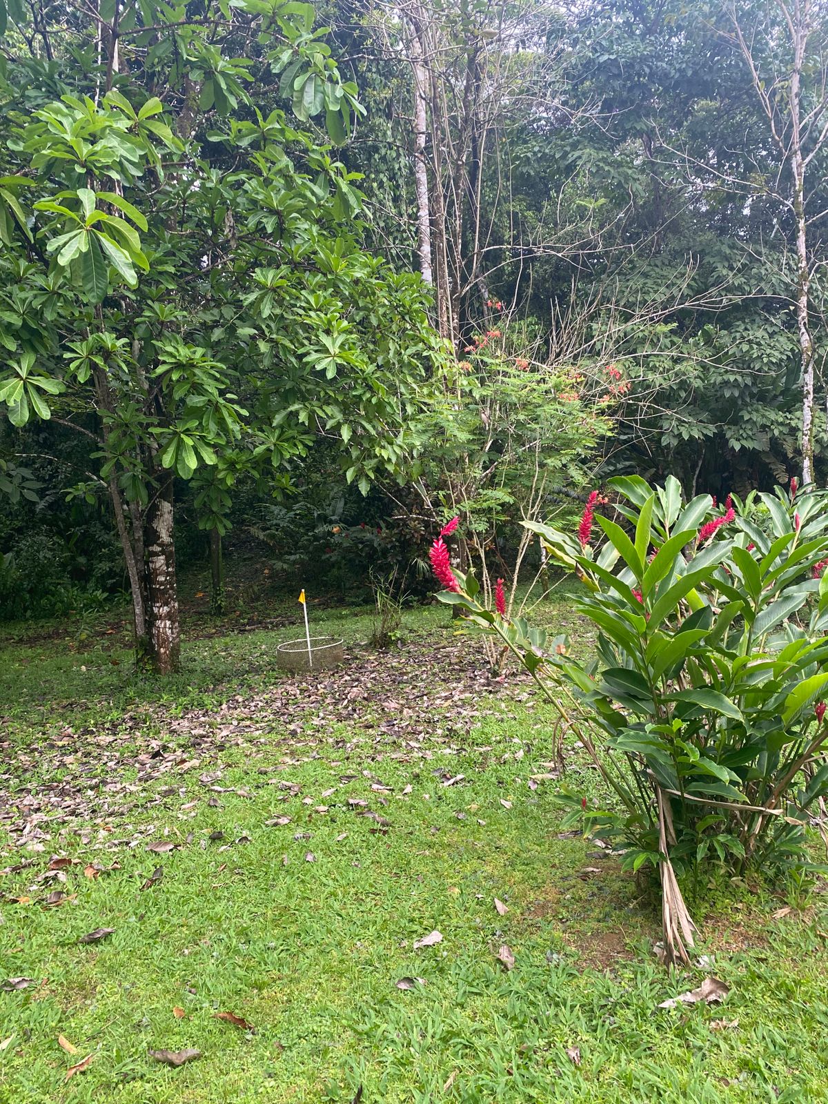 Hole 2