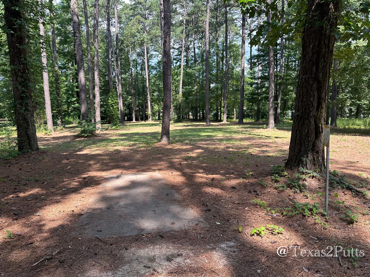 Hole 5