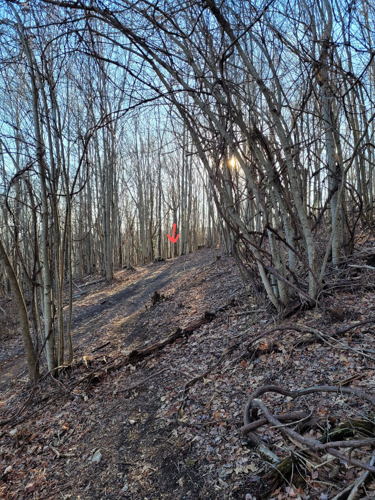 Hole #17 from pad