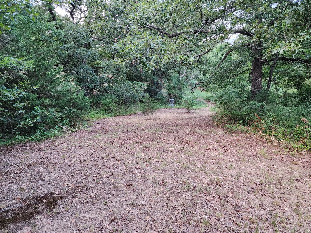 Hole 8