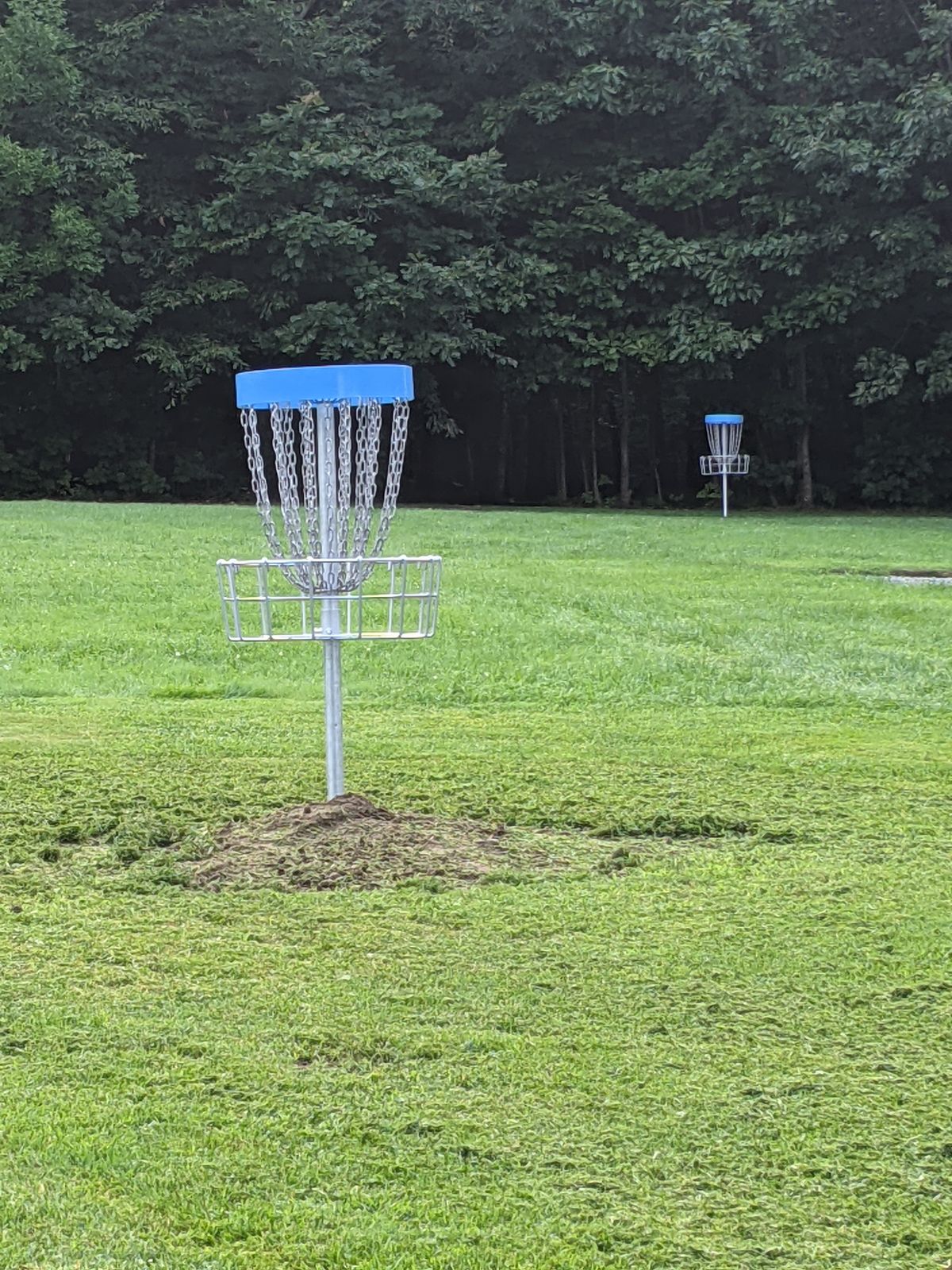 21 new Disc Golf Park baskets 2021