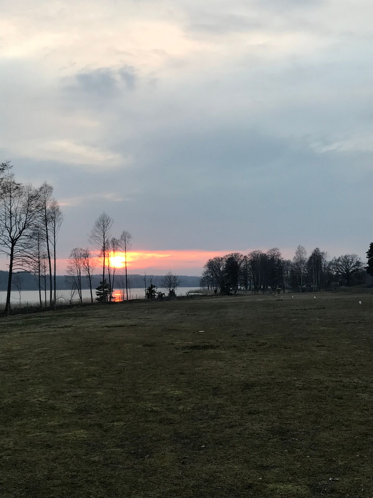 Rangen på Alviken