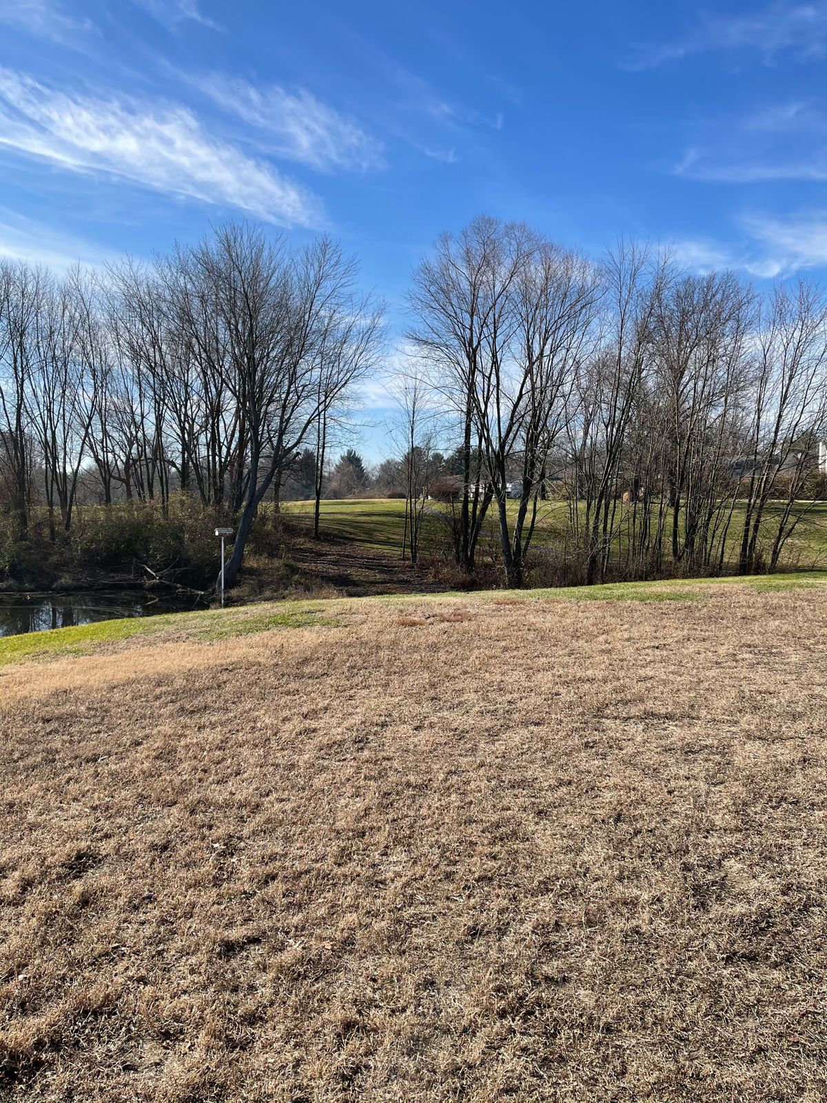 Hole 2 tees view