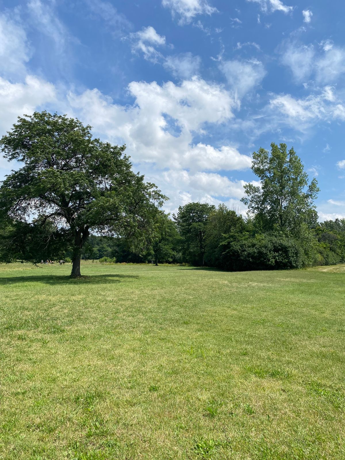 Hole #11’s fairway after the turn