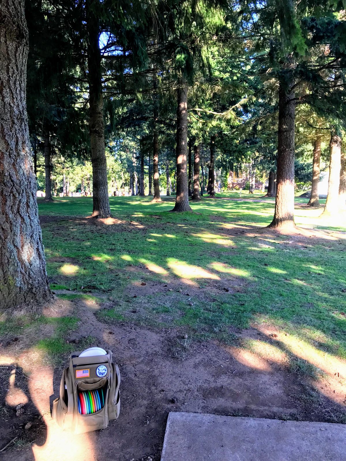 Hole #1. Most holes are in mature woods with mowed grass.