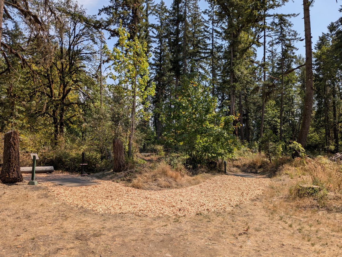 Short and Long tee pads for hole 1