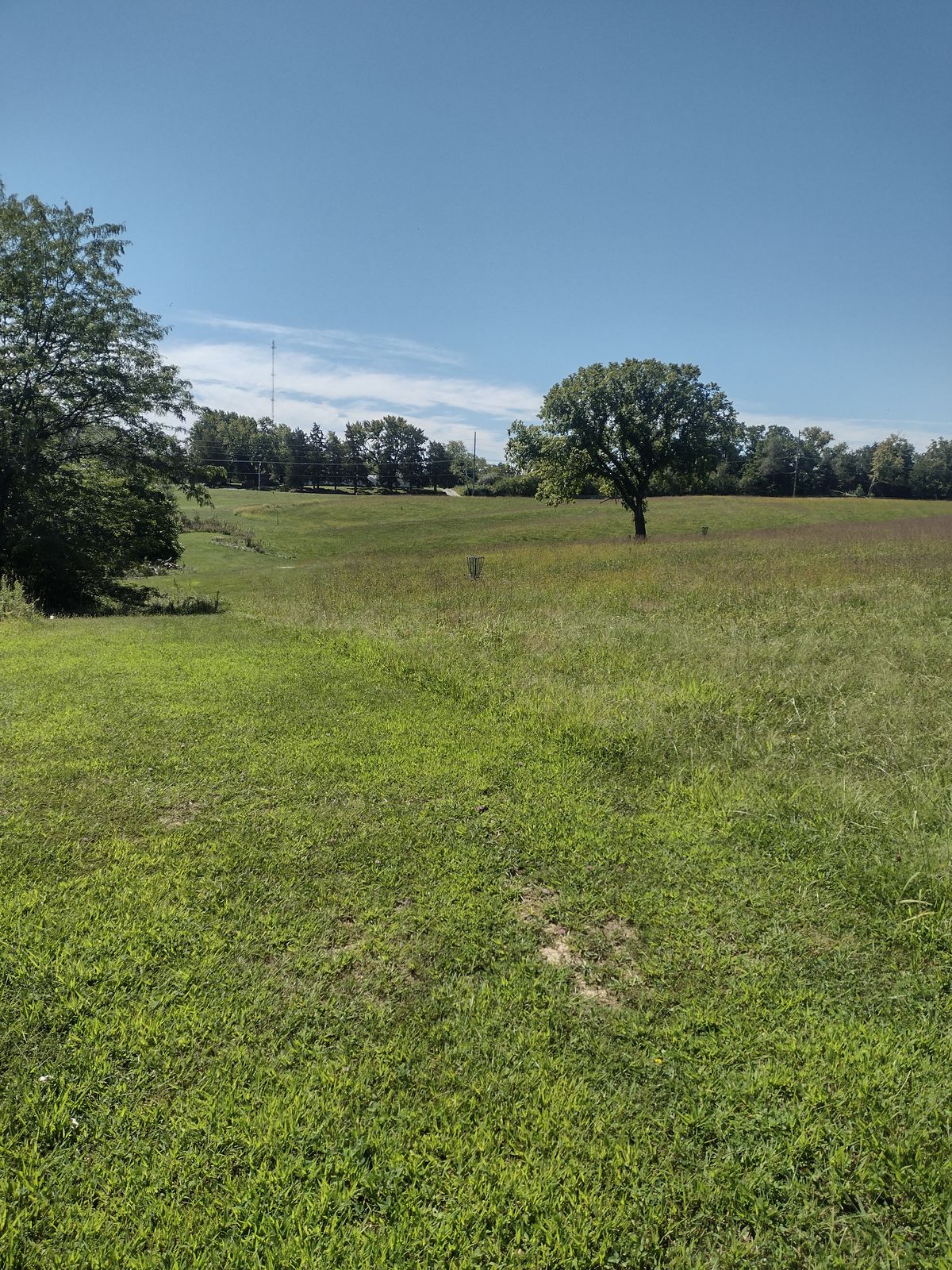 Hole 9 Basket