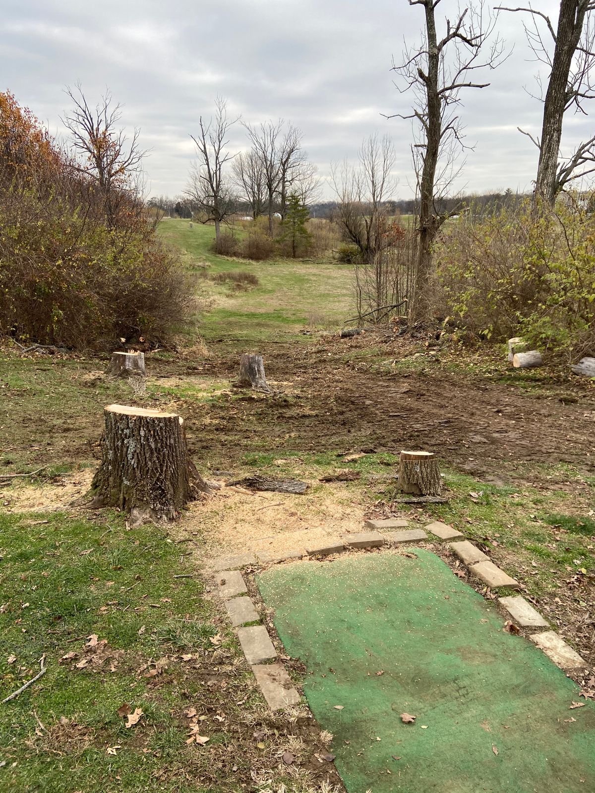 Mando removed on 16.