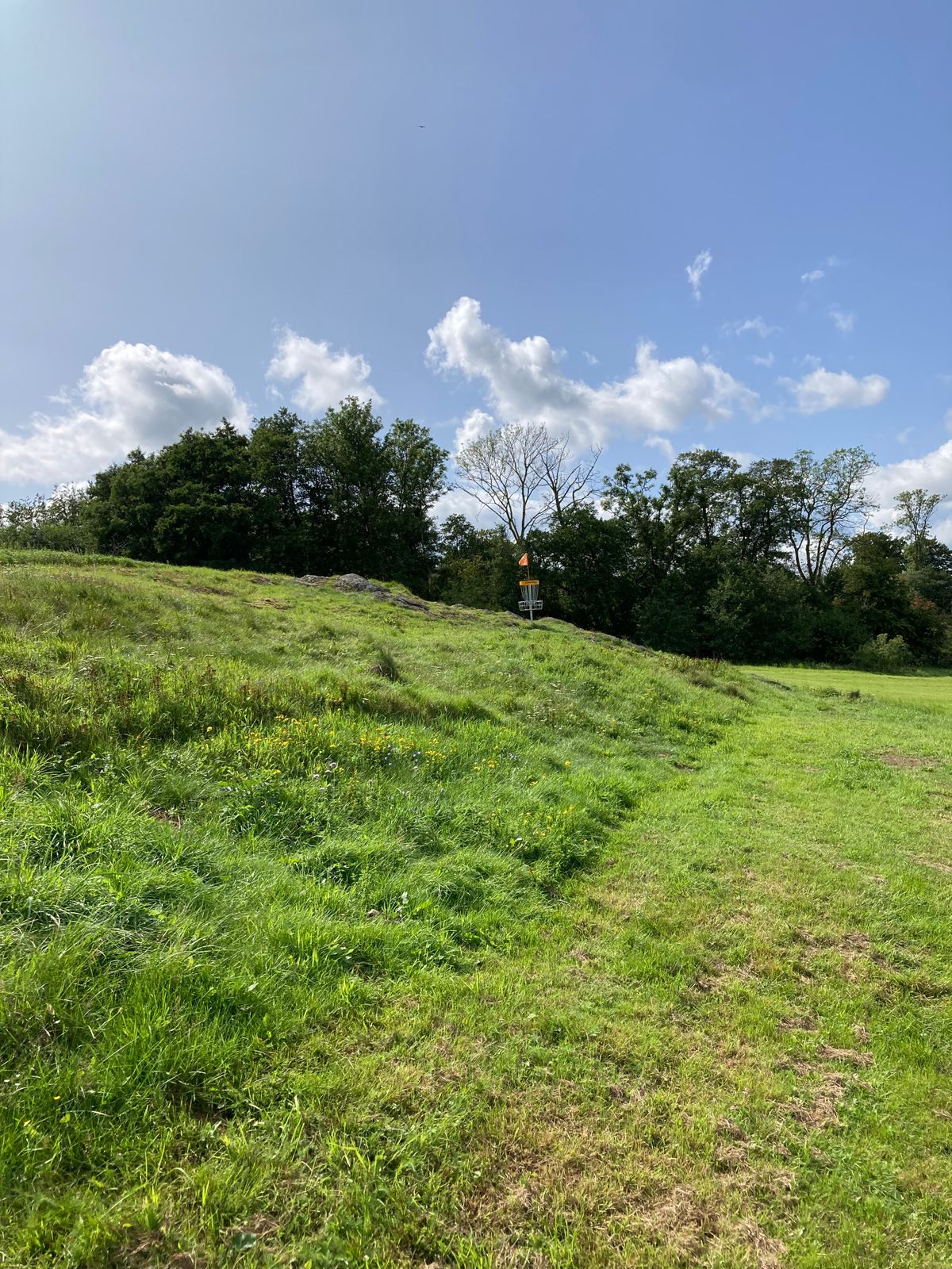 Skogsbanan, hole 4 (par 4)