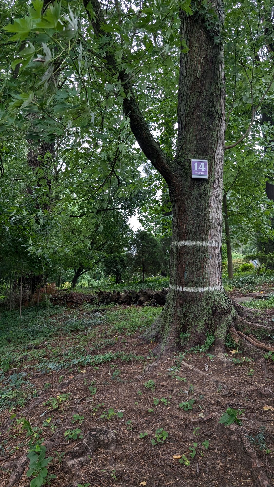 Hole 14 Target (new sign)