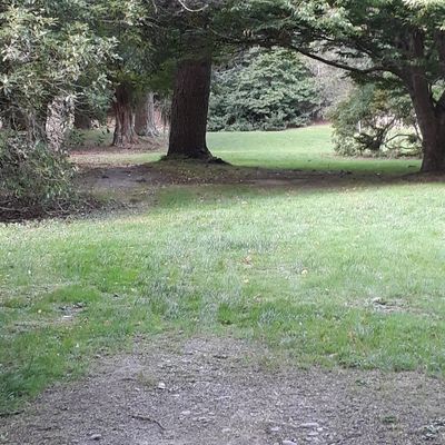 Hole 8