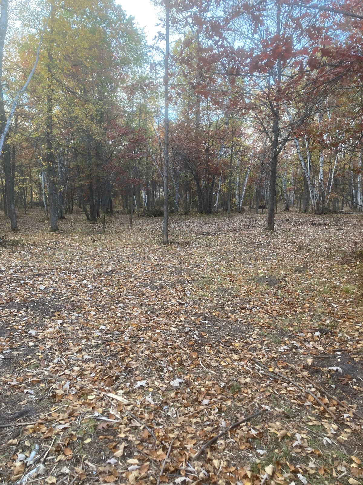 Hole 5 Tee and fairway