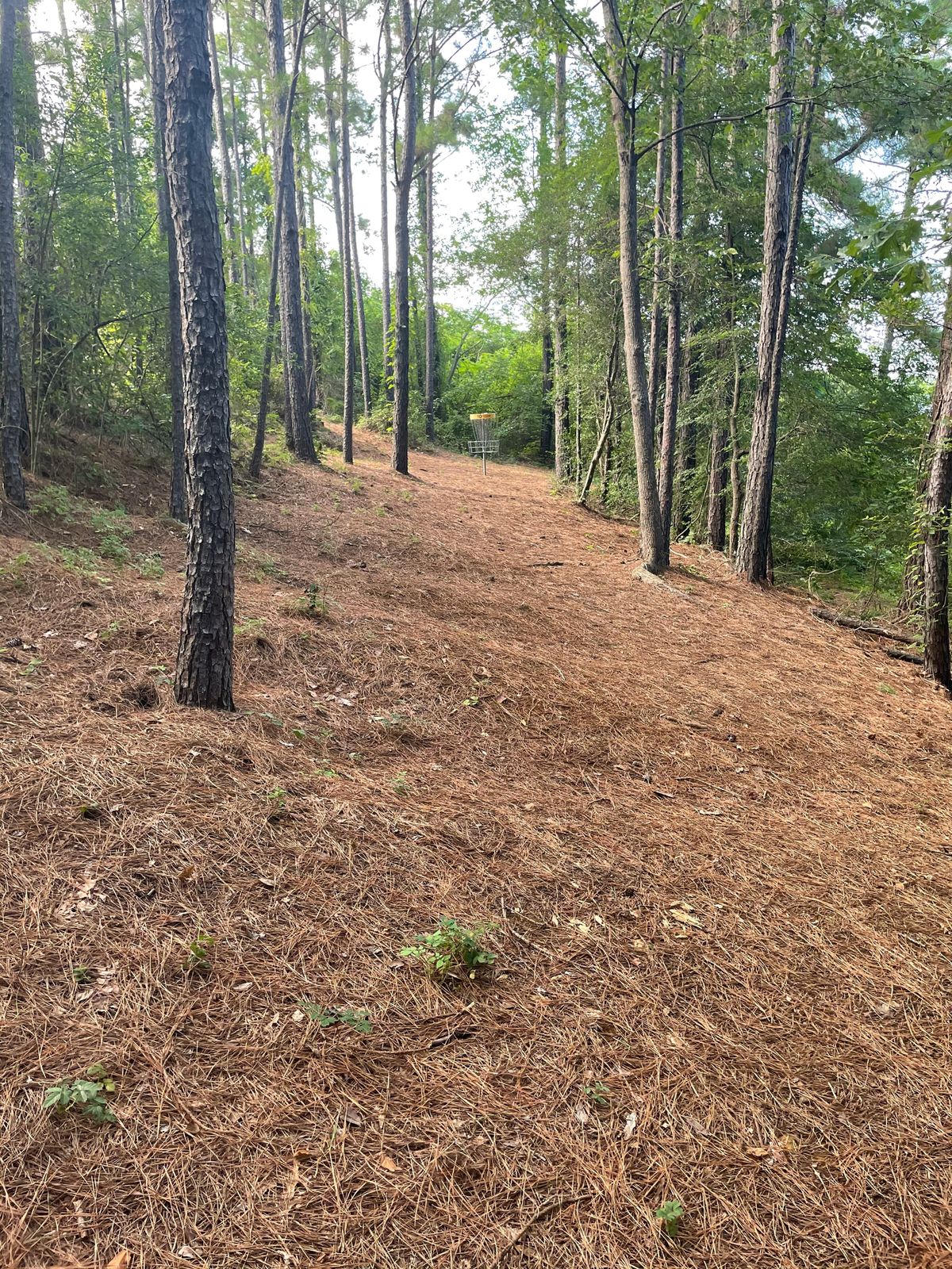 Bend after up the hill