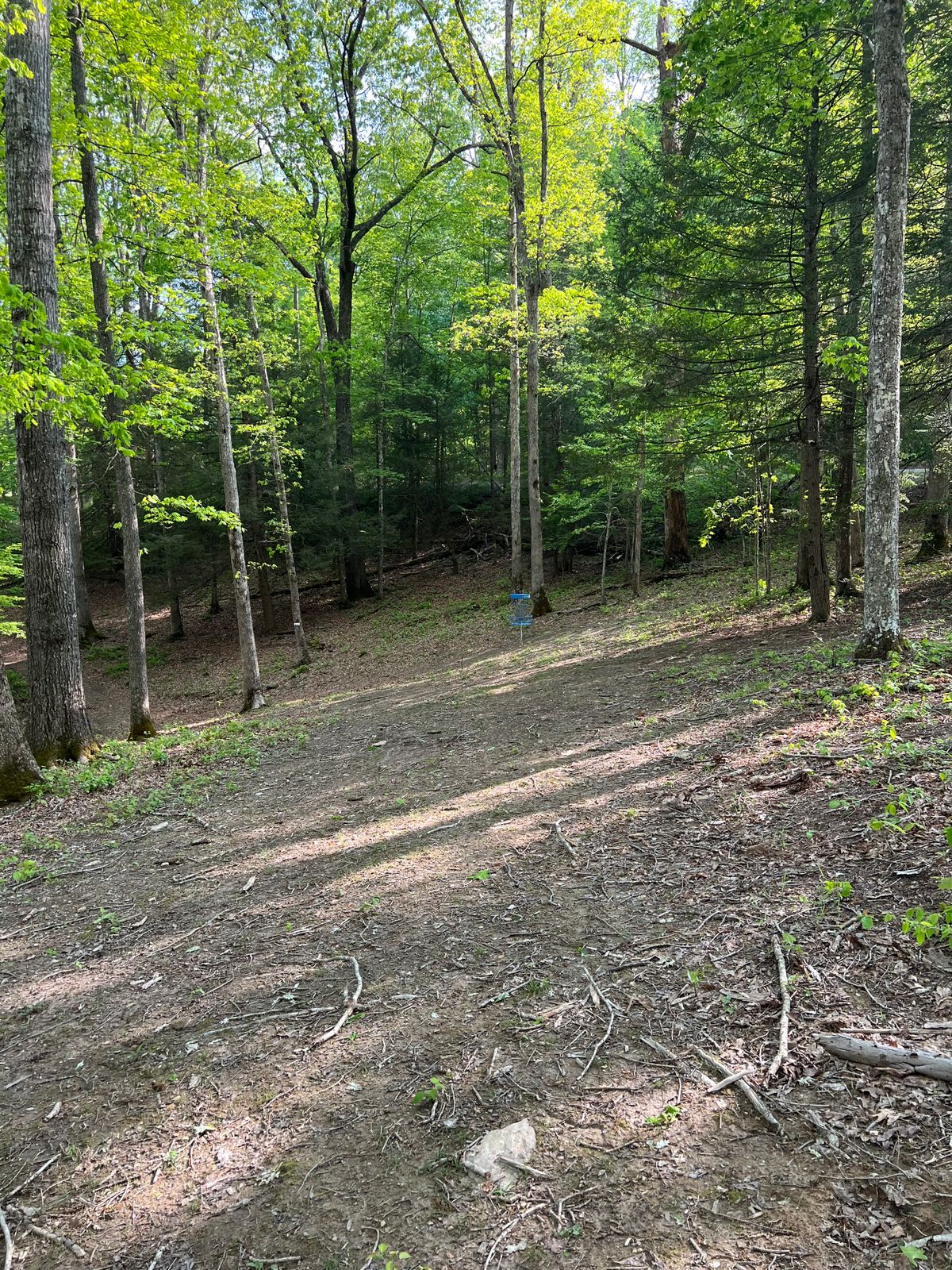 Hole 3 Approach