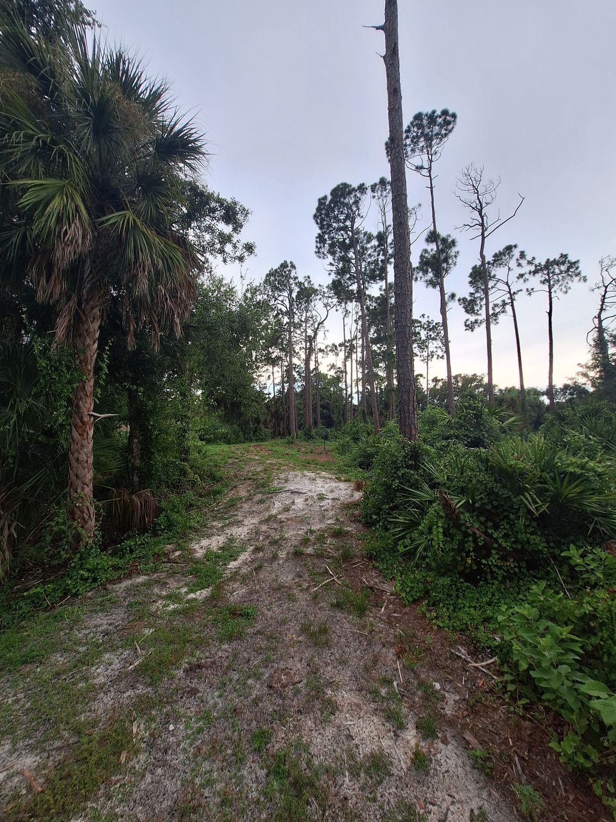 Hole 7 fairway