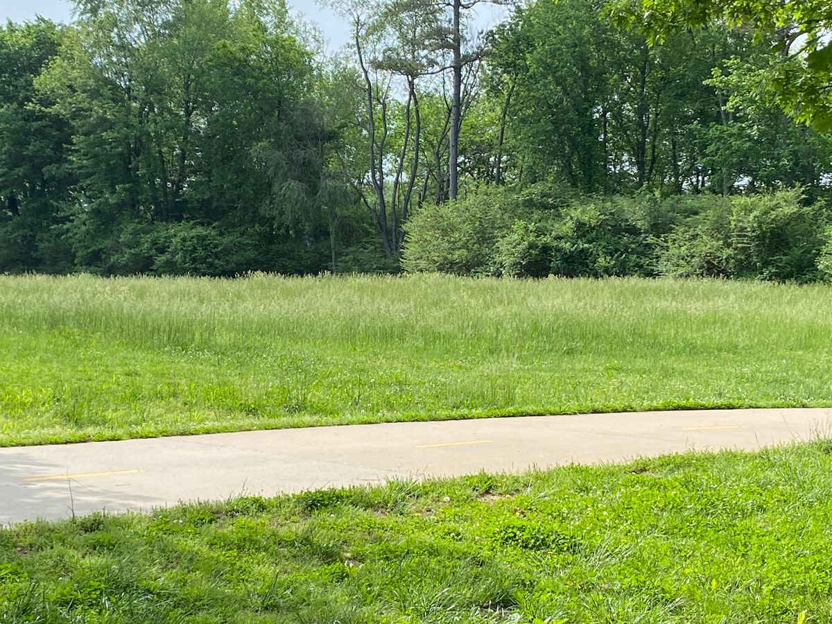 Grass to high to even find your disc in the rough today…