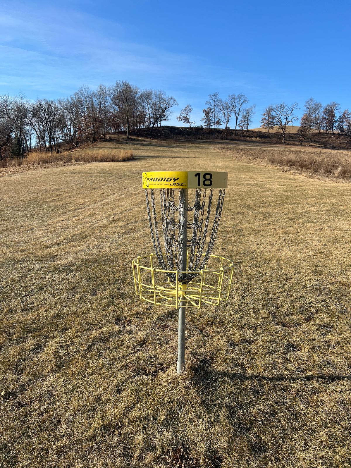 Big Brother Hole 18 Basket 1/9/25