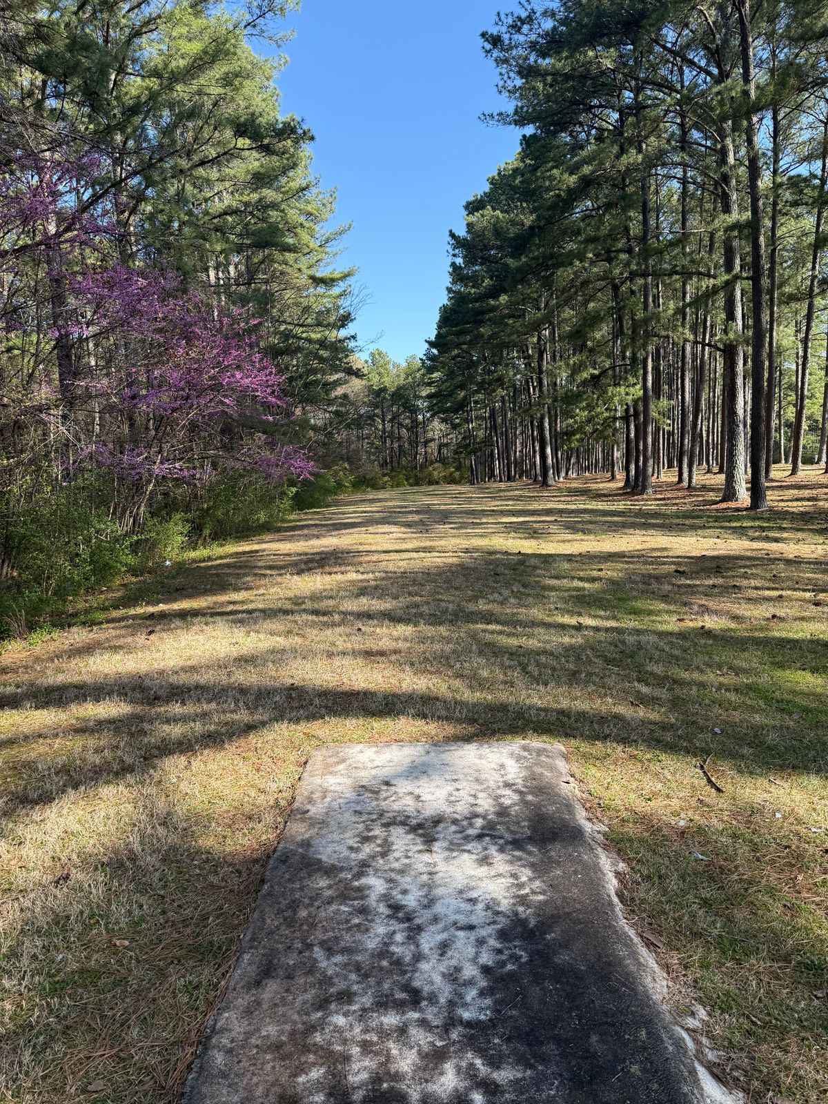Hole 8 Tee box view