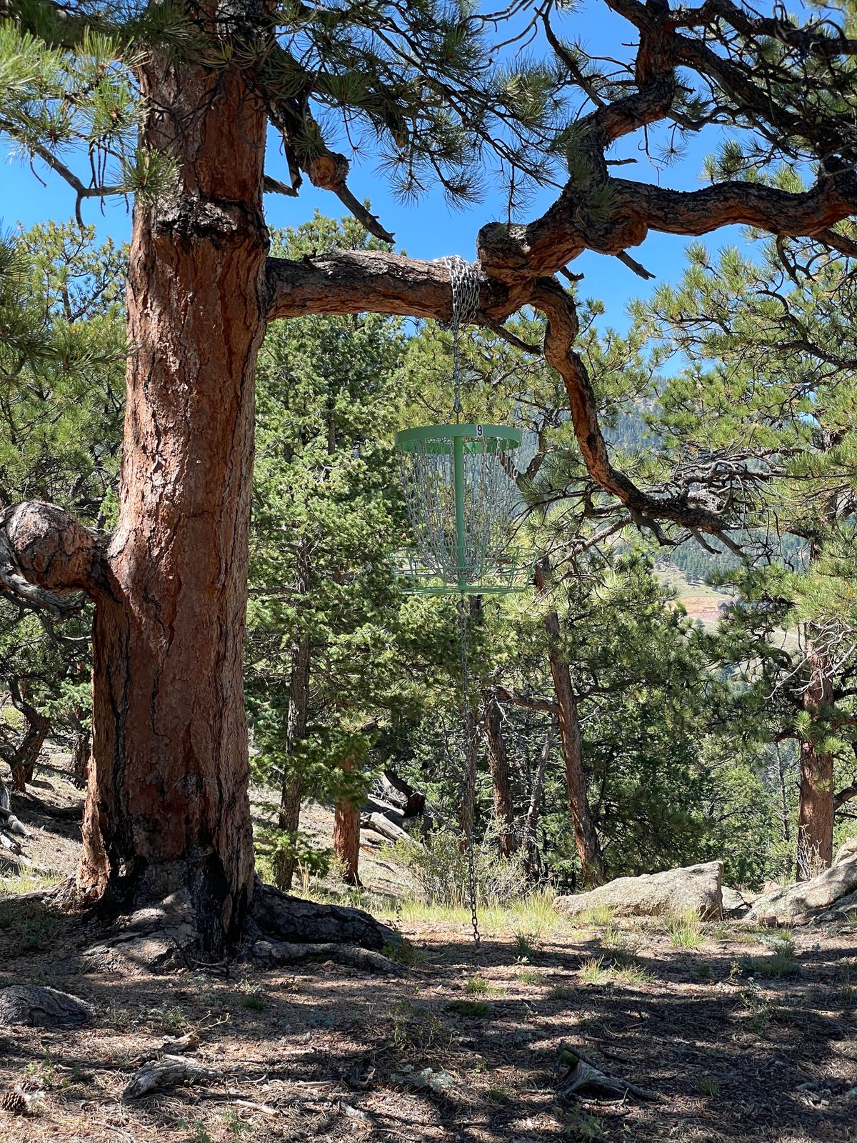 Hole 9 basket