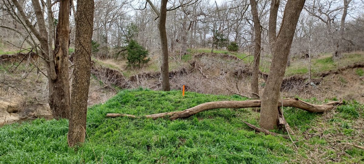 Hole 5 death putt!