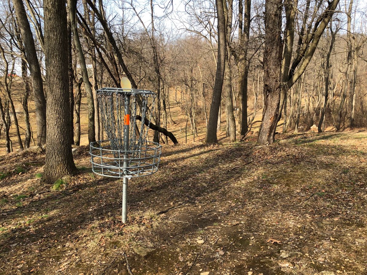 Hole 4 Basket