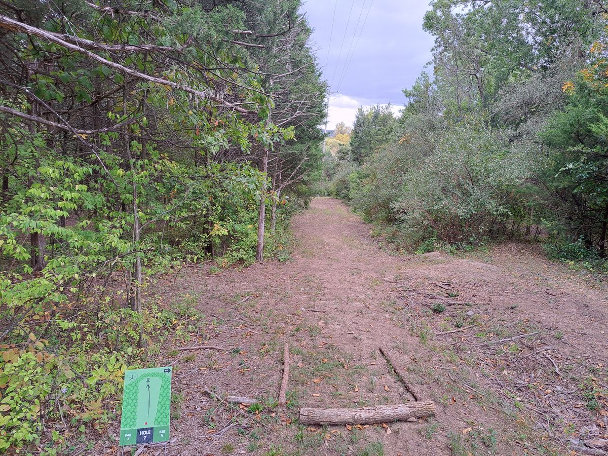 Hole 7