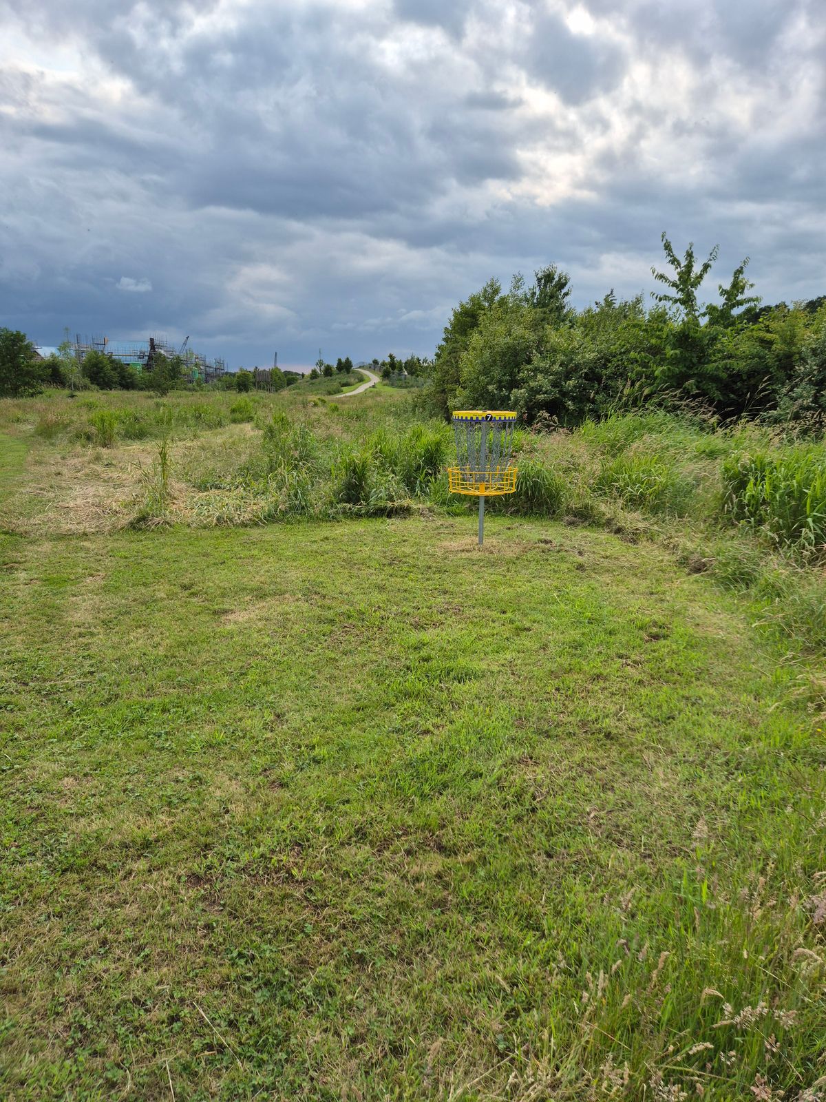 Basket hole 7tee