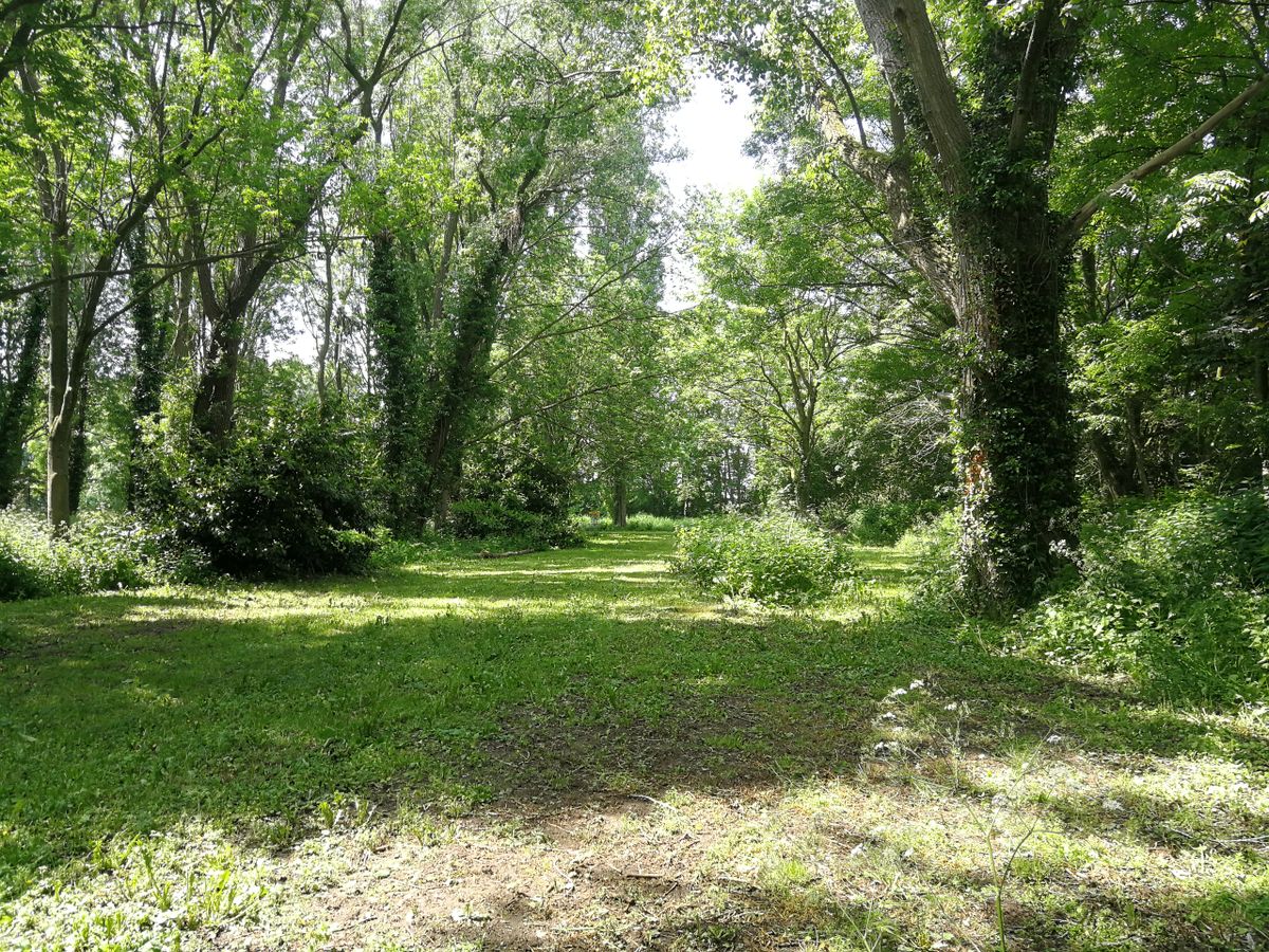 Hole 5