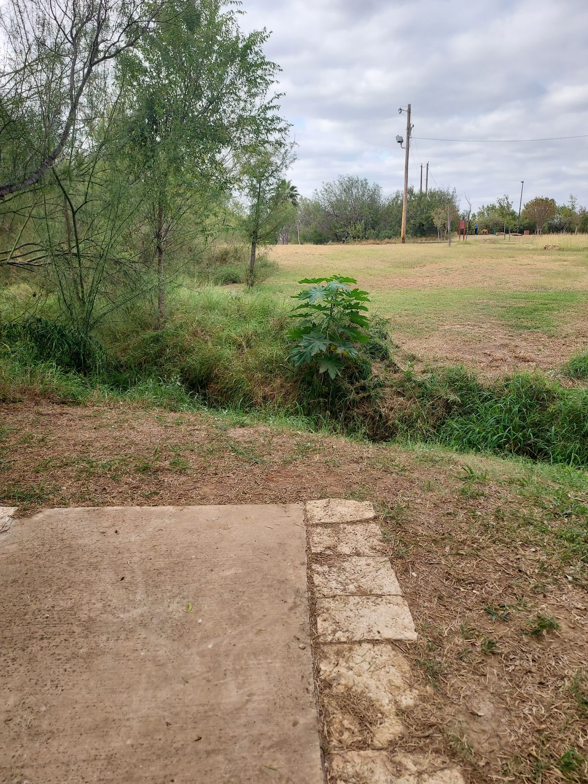 Hole 7 from the tee