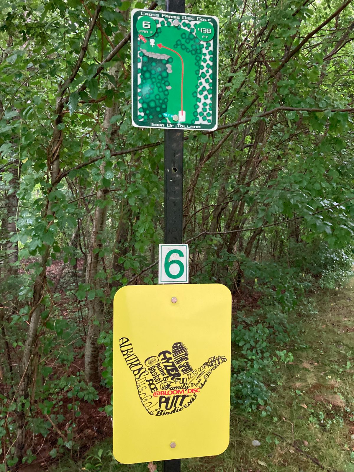 Hole 6. Long par 3.