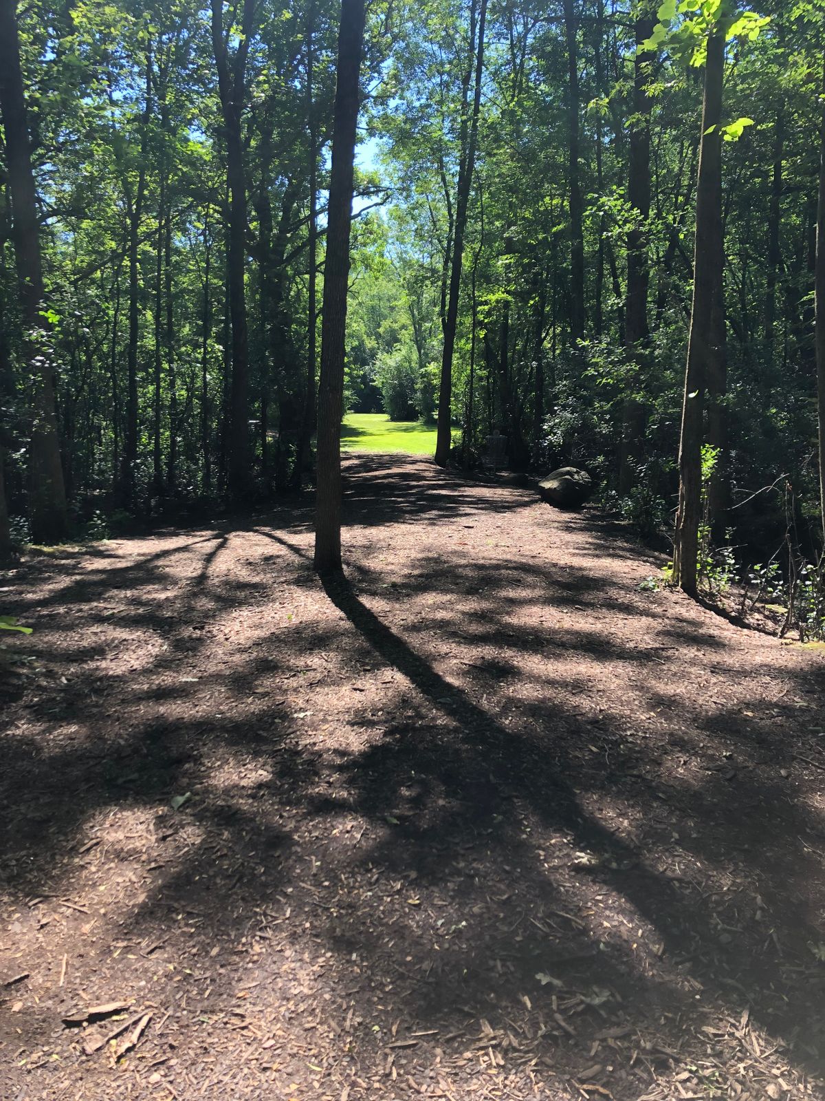Hole 3