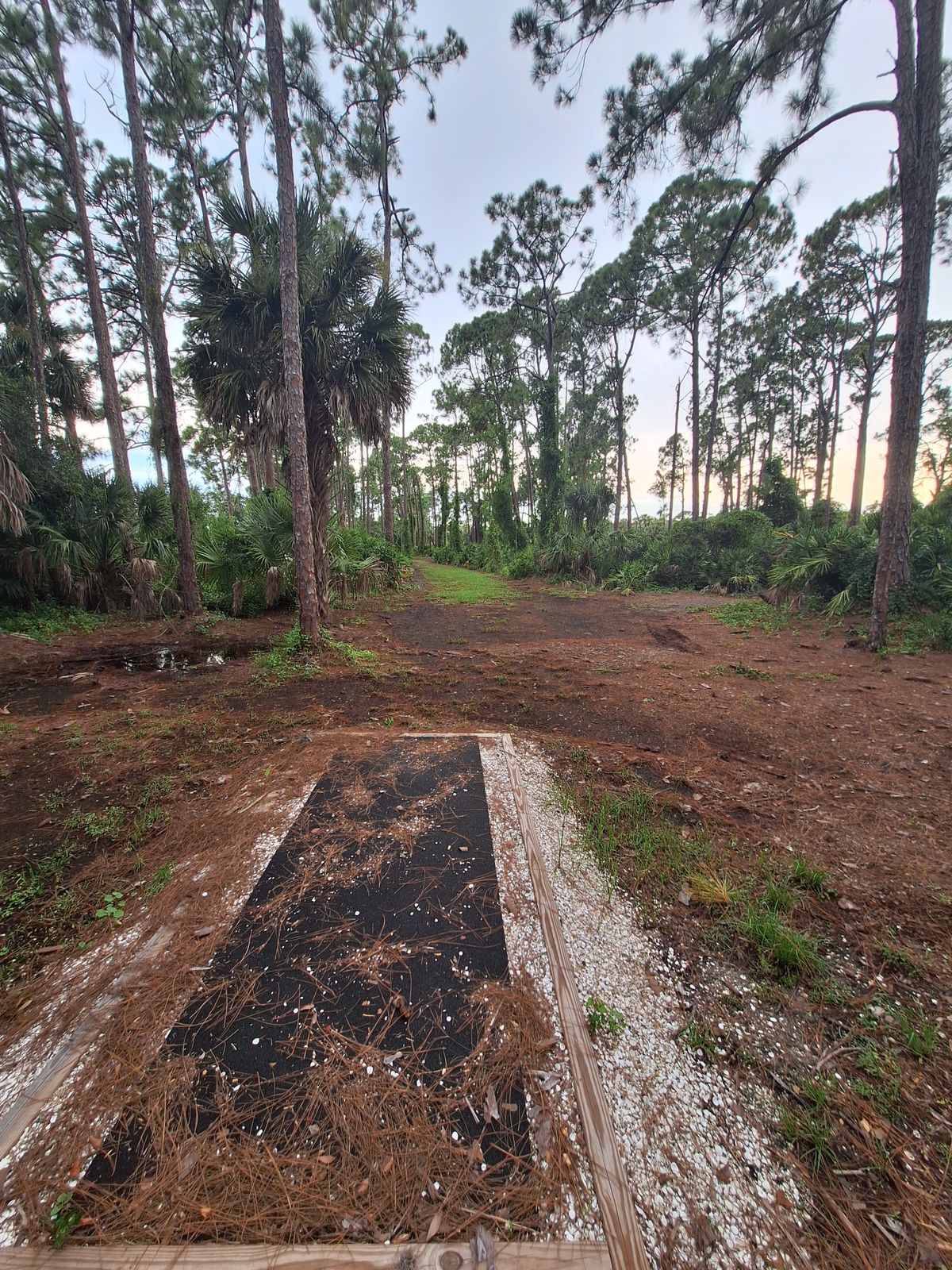 Hole 6 tee pad