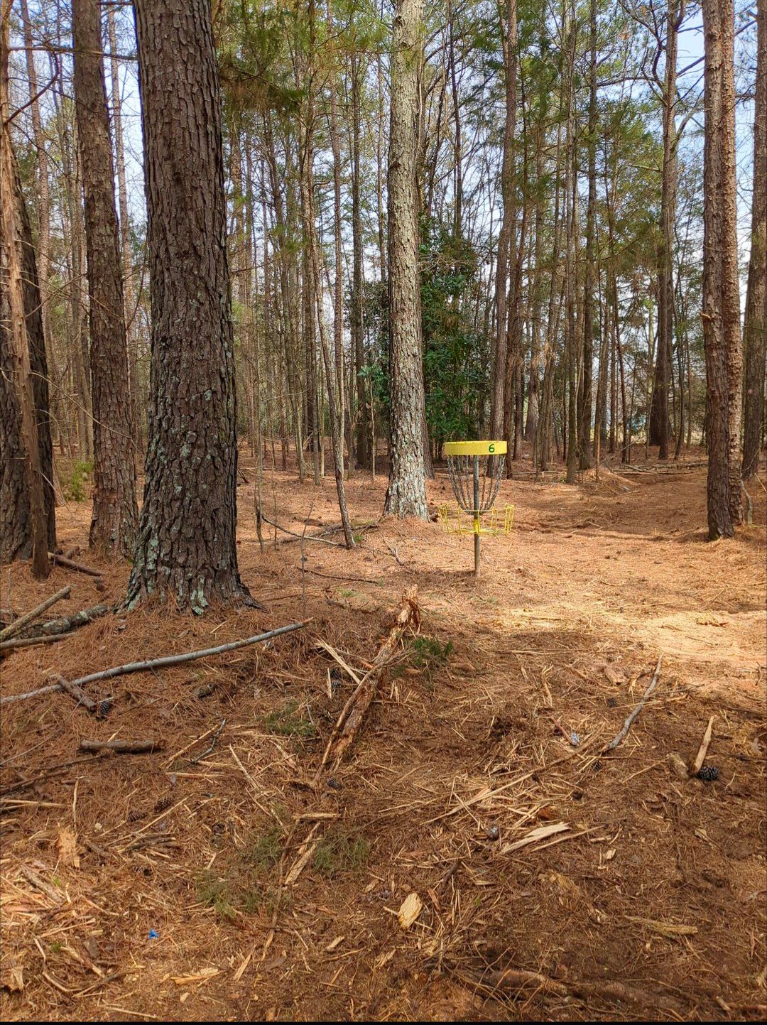 Hole 6