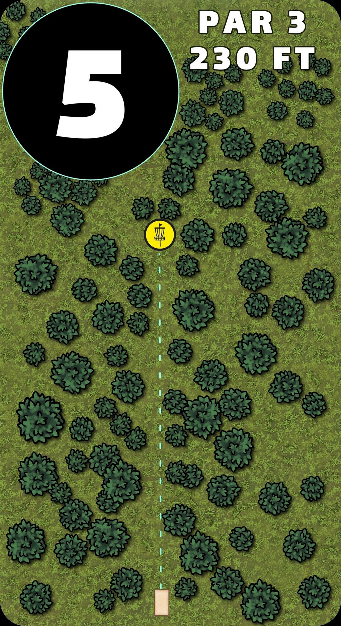 Hole 5 is a very straight shot with a narrow fairway through the trees. It makes for a challeneging par 3 and an even more challenge for an birdie:-) but only 230' its very possible.