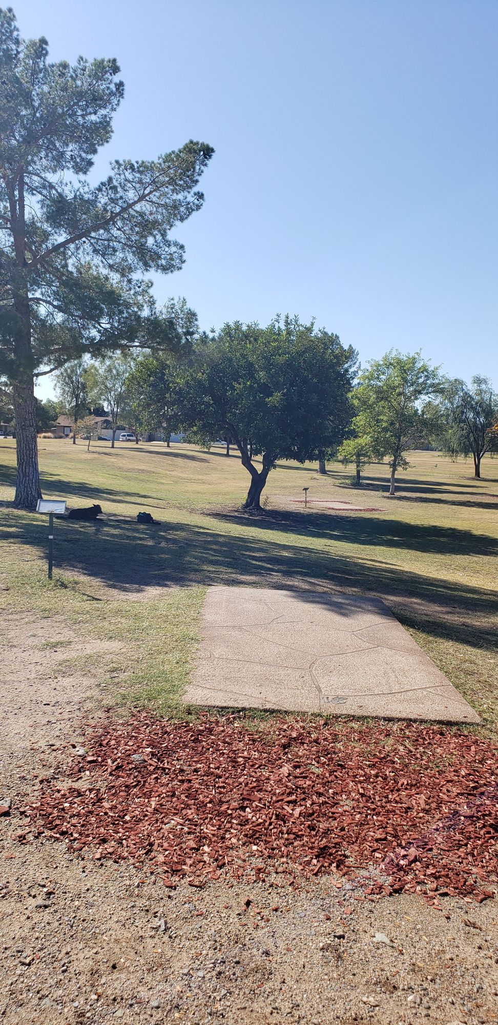 hole 18 tee