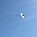 User avatar image