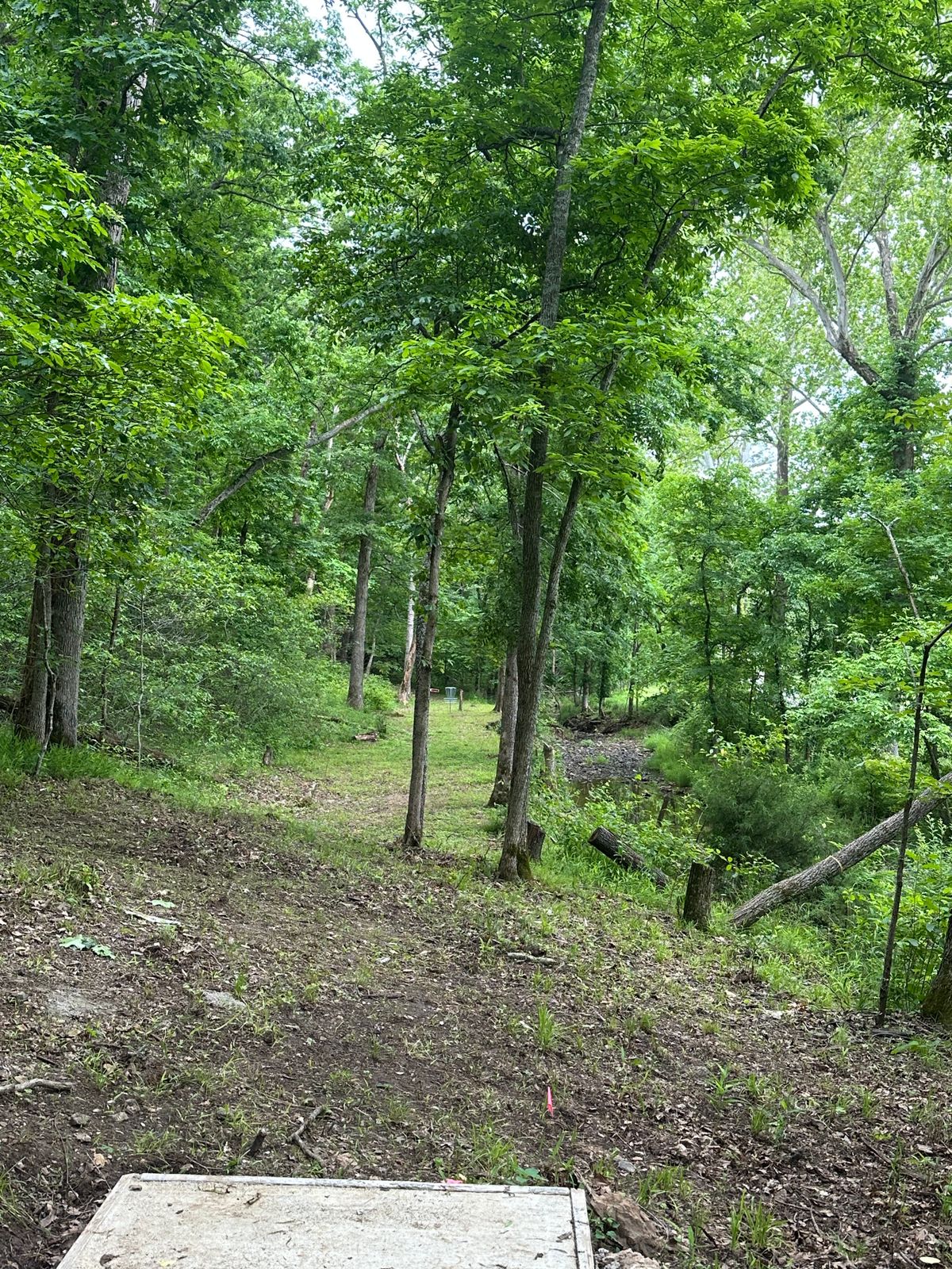 Hole three tee