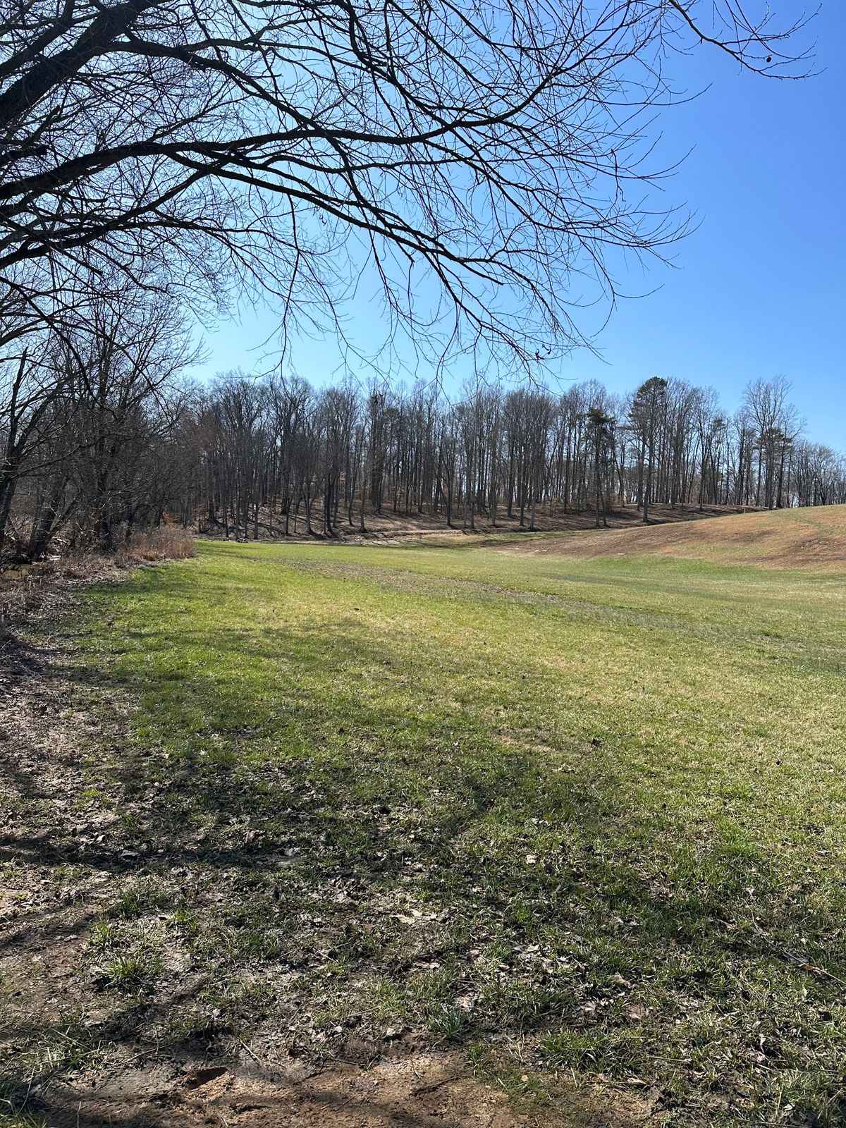 Hole 6 (White)