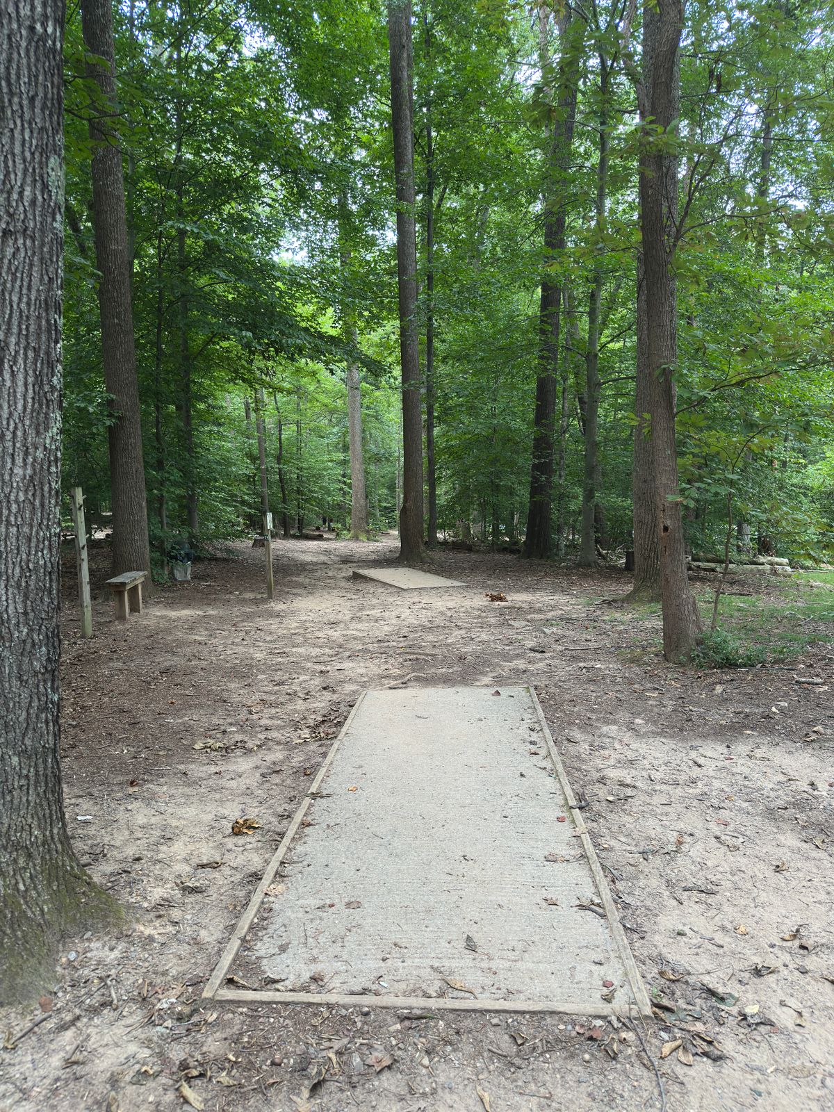 Hole 13 white tee
