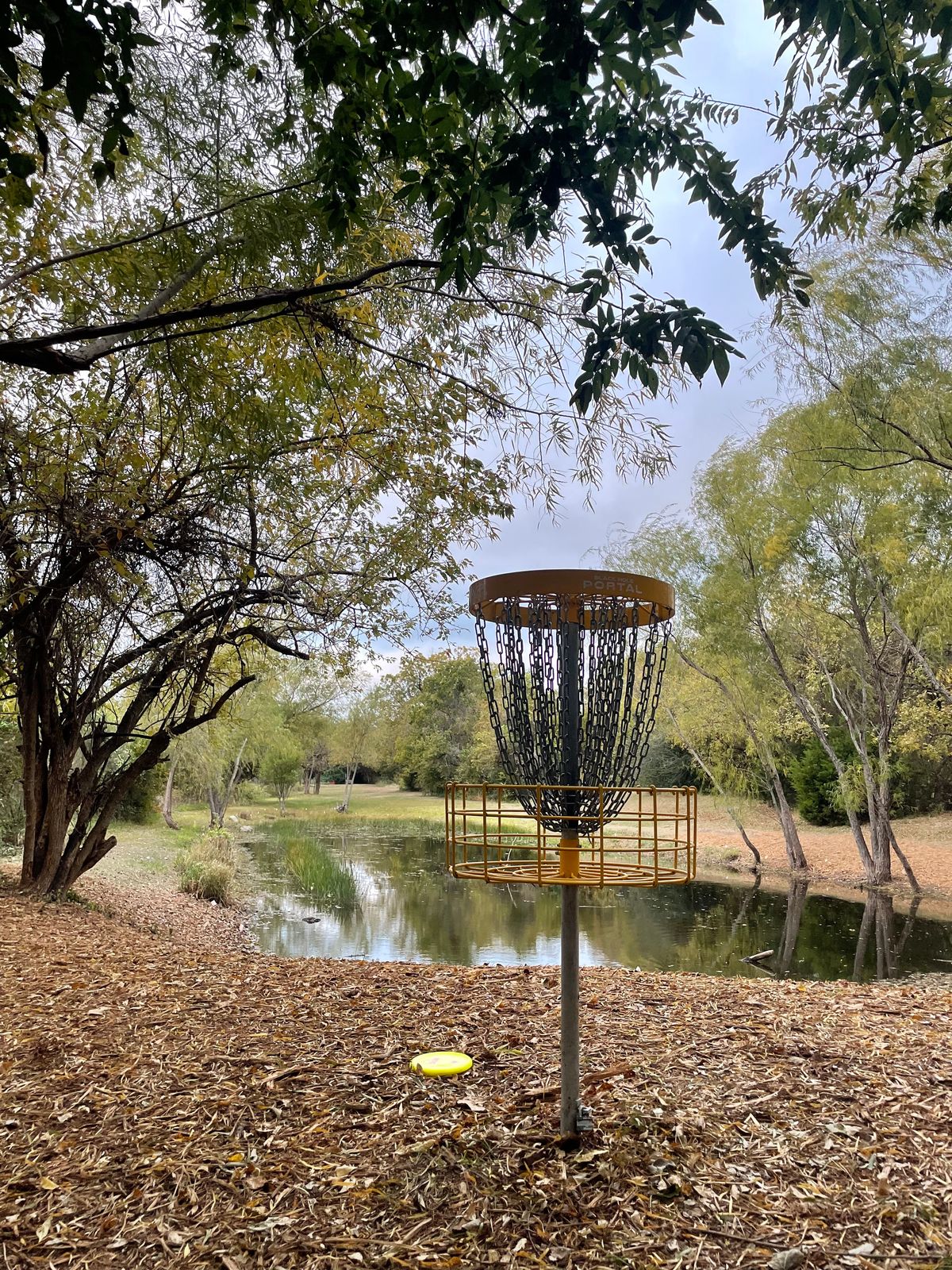 “The Behemoth” basket hole 4