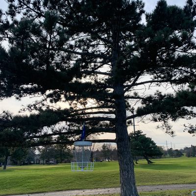 Hole 9 basket