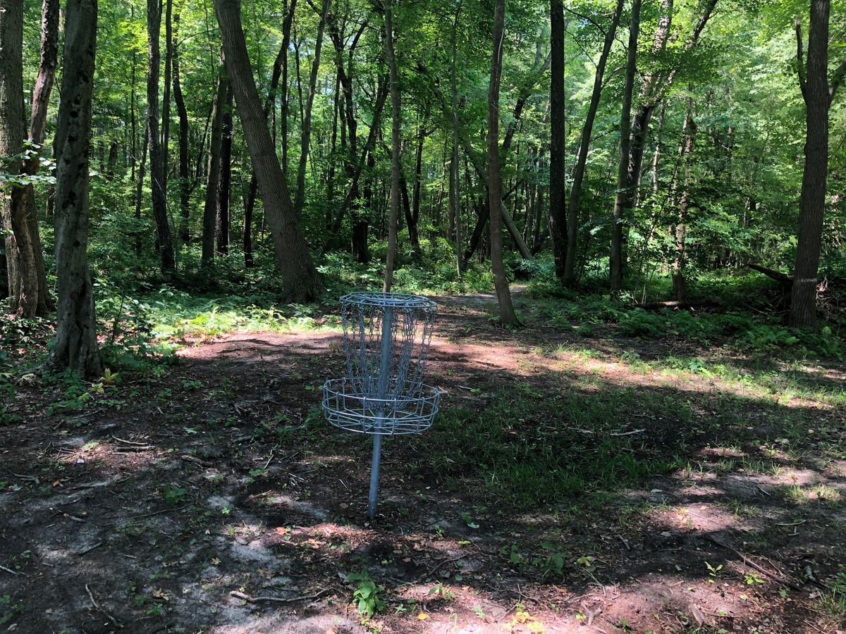 Hole 2 basket