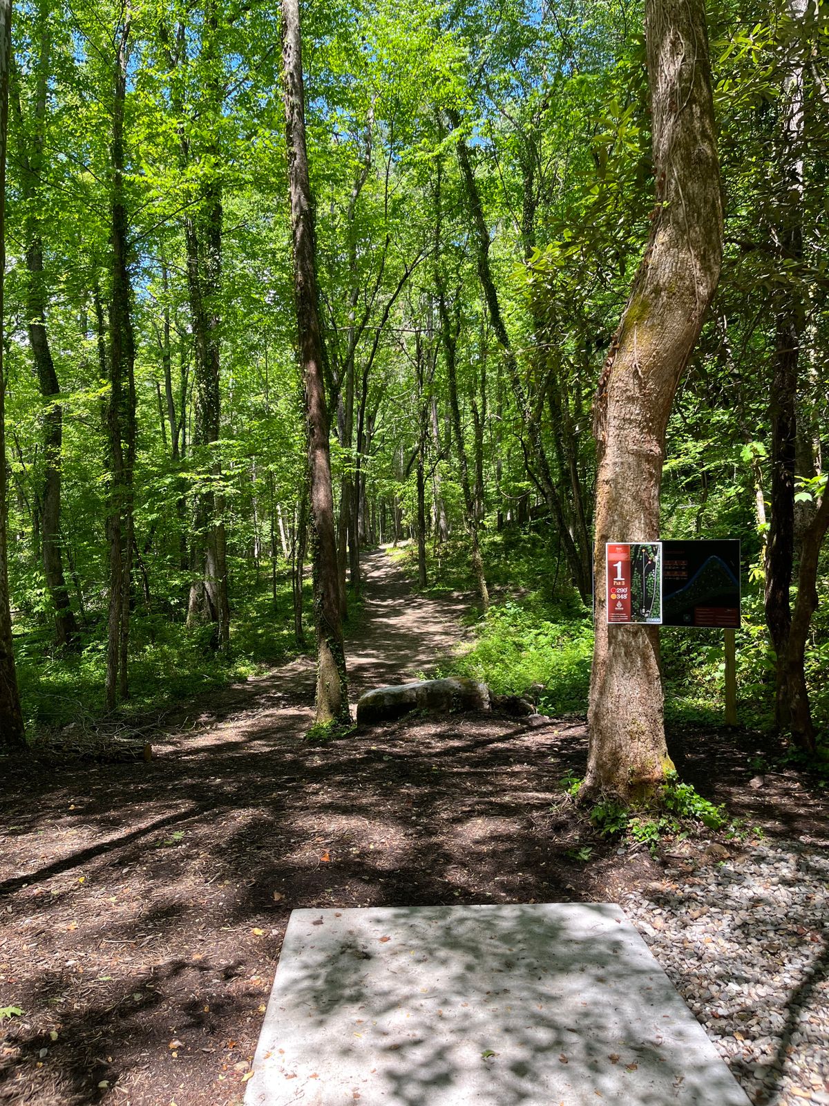 Tight lines! Every single hole.