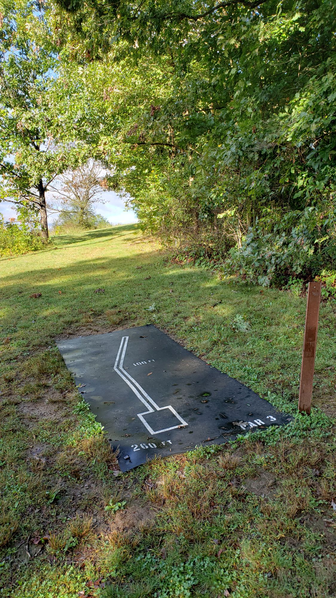 Hole 6 tee