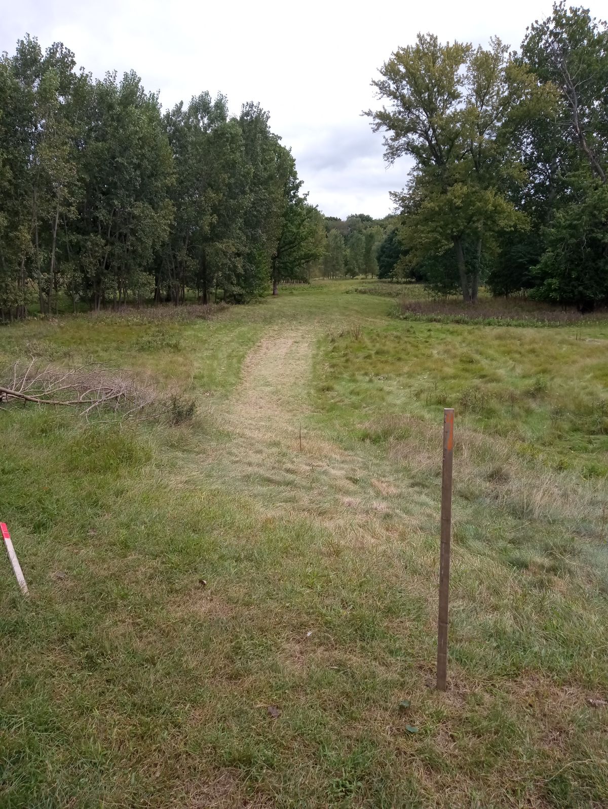 Hole 12