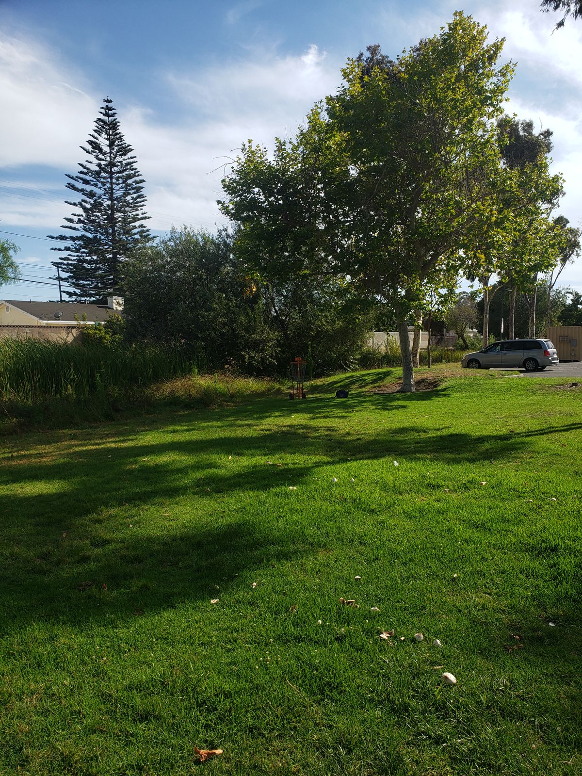 Nine is a beauty, help us get it legitimate!