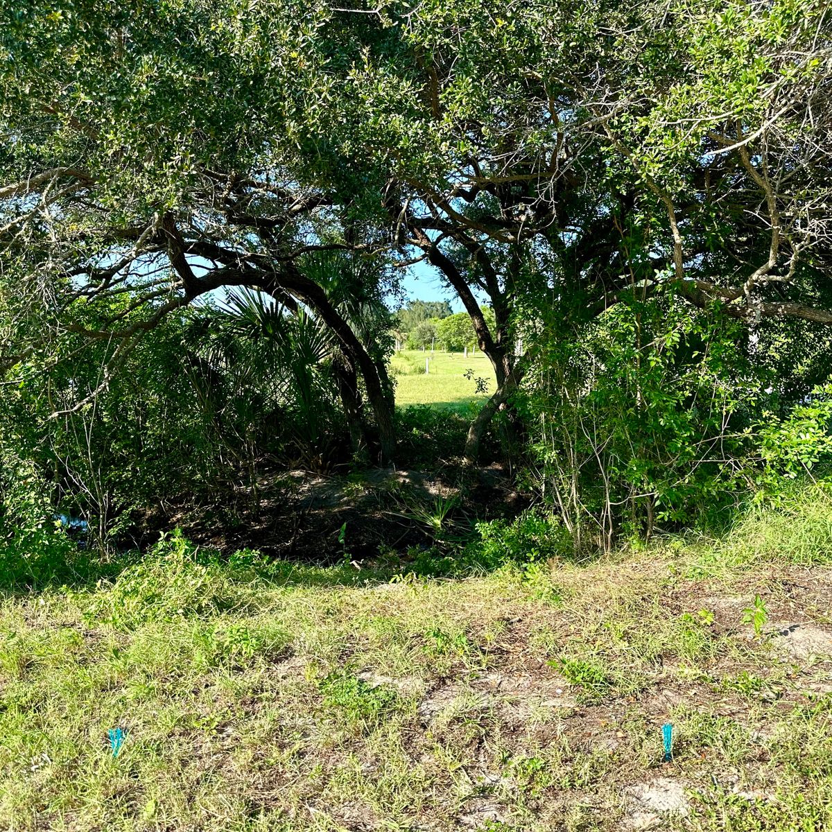 Hole 6 long