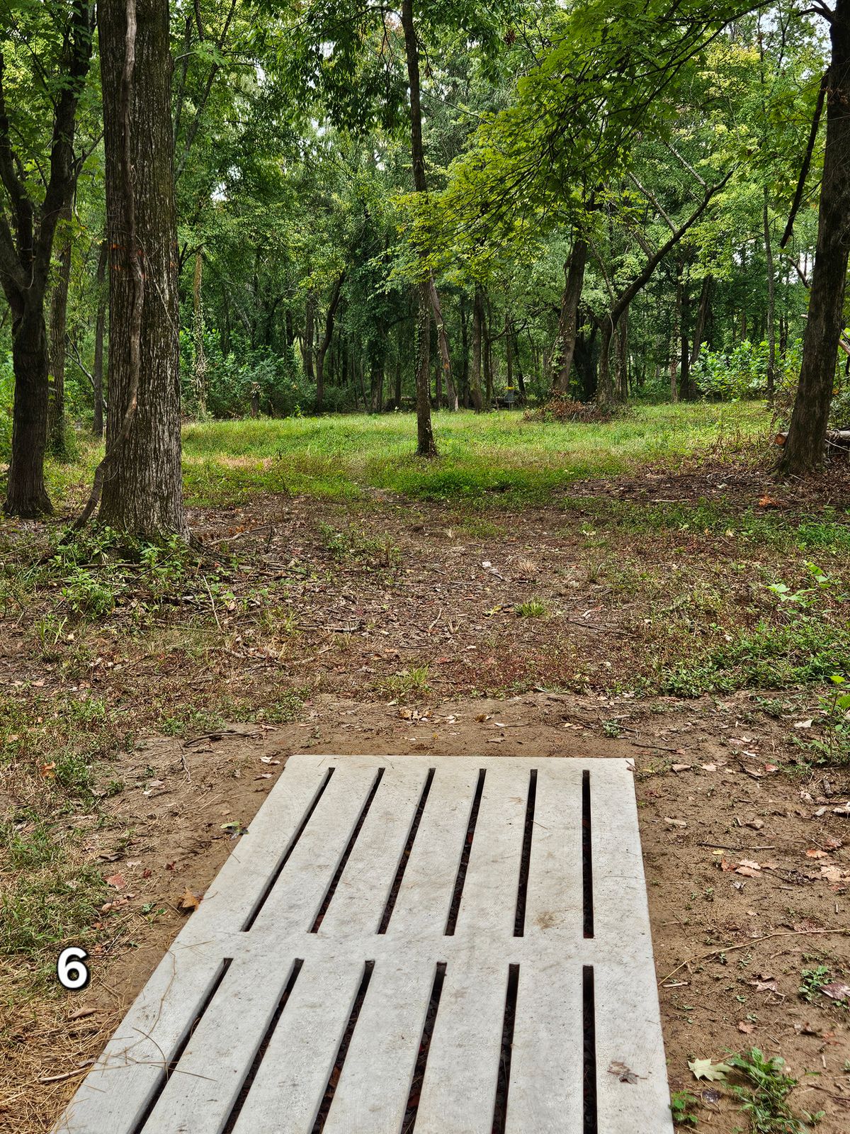 Hole 6