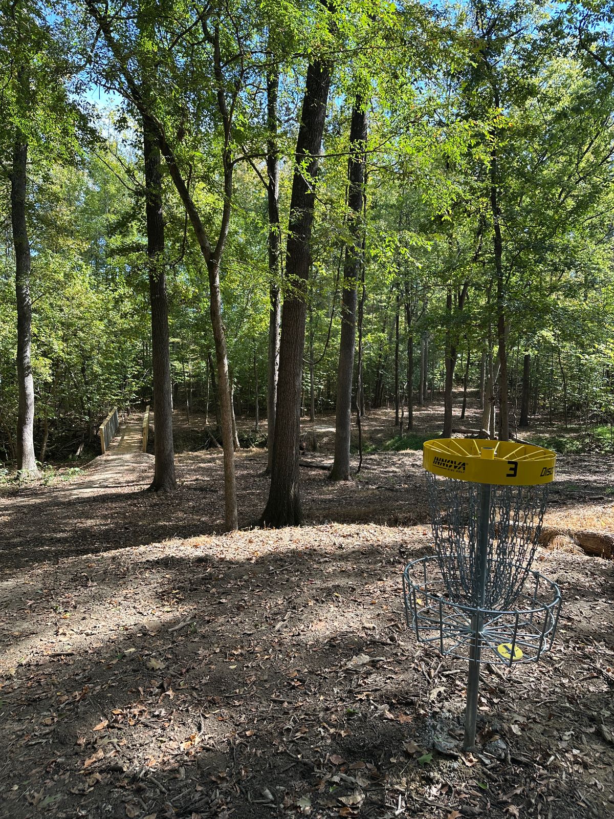 Hole 3 looking back to the tee.